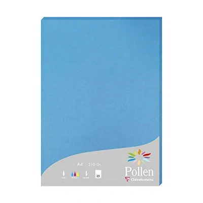 Image de Etui de 25 feuilles Pollen A4 Bleu Turquoise 210g
