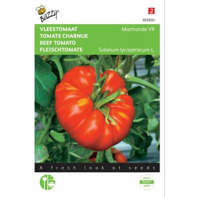 Afbeelding van Tomaten Marmande Vleestomaat Buzzy