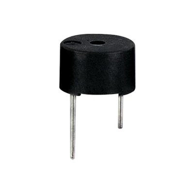 Afbeelding van MICRO BUZZER VOOR PRINTMONTAGE 12Vdc VERZEGELD
