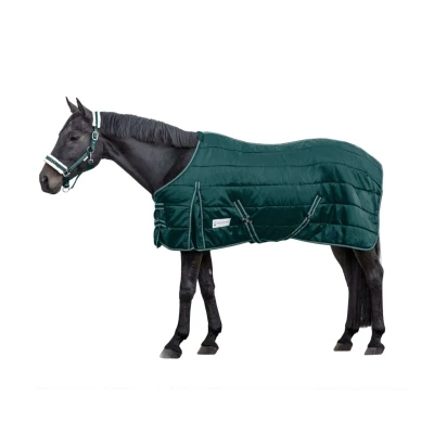 Afbeelding van Waldhausen Staldeken Economic 200g Spar Groen 125/175