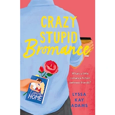 Afbeelding van Crazy Stupid Bromance
