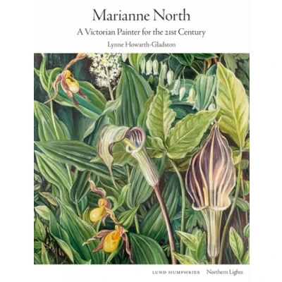 Afbeelding van Northern Lights Marianne North