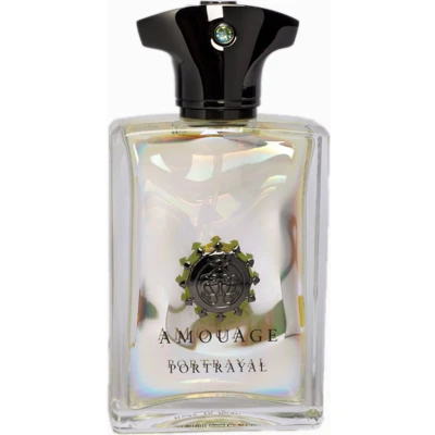 Afbeelding van Amouage Portrayal Man Eau de Parfum 100 ml Mannen