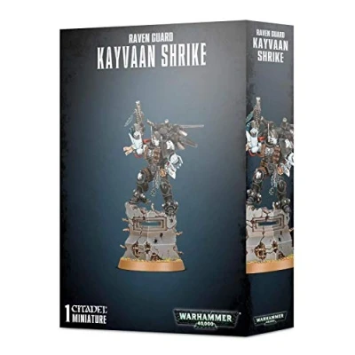 Afbeelding van Warhammer 40.000 Space Marines Raven Guard Kayvaan Shrike