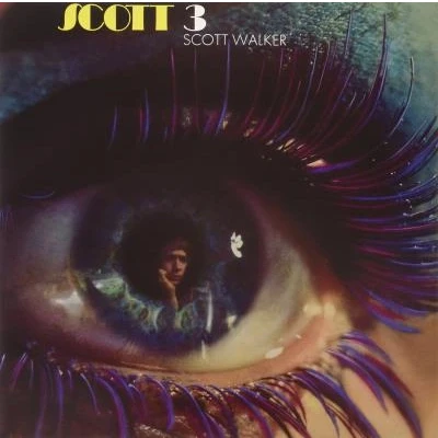 Afbeelding van Scott Walker 3 (LP)