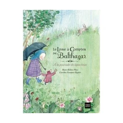 Afbeelding van Le livre a compter de Balthazar/A la poursuite du lapin brun