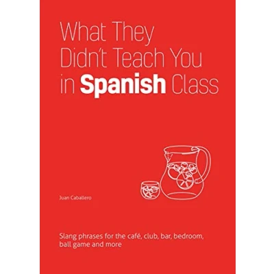 Afbeelding van What They Didn&#039;t Teach You In Spanish Class