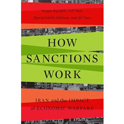Afbeelding van How Sanctions Work