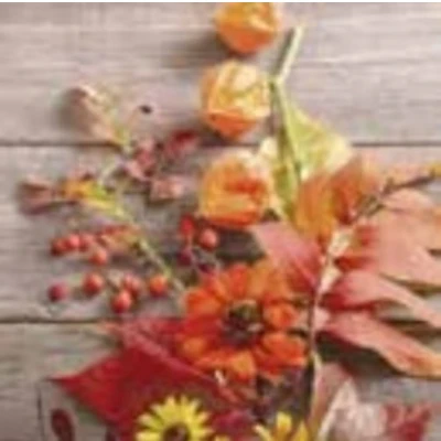 Afbeelding van 1 Pakje papieren lunch servetten Fruity Florals Herfst