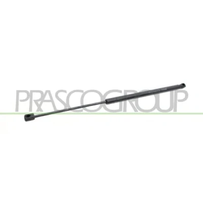 Afbeelding van PRASCO FD4249055 Gasveer achterklep 530 484 Links achter, Rechts achter FORD: Focus 2