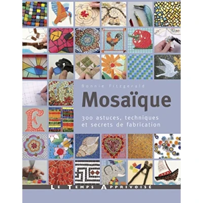 Afbeelding van Mosaique 300 astuces motifs et secrets de fabrication