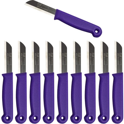 Afbeelding van Solingen Schilmesje RVS Glad 16 cm met &quot;Blade Cover&quot; Paars 10 Stuks