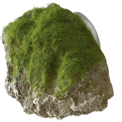 Afbeelding van Aqua Della Aquariumdecoratie Vissen Moss Stone With Suction Cup Xs 9x6x6,5cm 1st