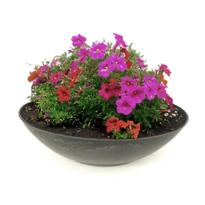 Afbeelding van matches21 Weerbestendige plantenbak voor buiten, grote decoratieve schaal zwart gemarmerd als bloembak, tuinschaal 28 cm bloemen, bonsai of begraafplaats, grafsieraad