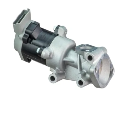 Afbeelding van DELPHI EG10529 12B1 EGR klep Zonder AGR koeler