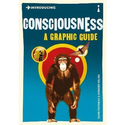 Afbeelding van Introducing Consciousness