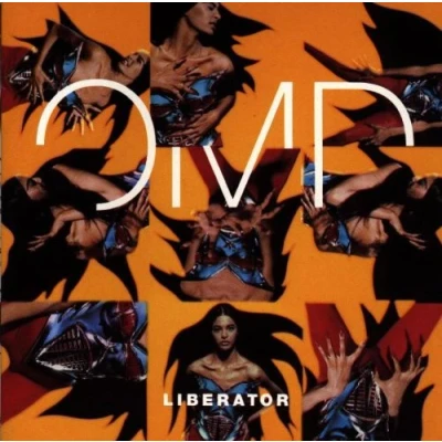 Afbeelding van Liberator