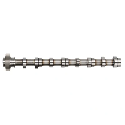 Afbeelding van Nokkenas FRECCIA CM05 2195