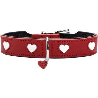 Afbeelding van Hondenhalsband Liefde Maat 42