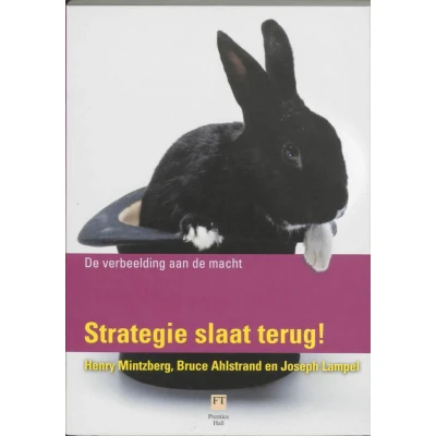 Afbeelding van Strategie Slaat Terug!