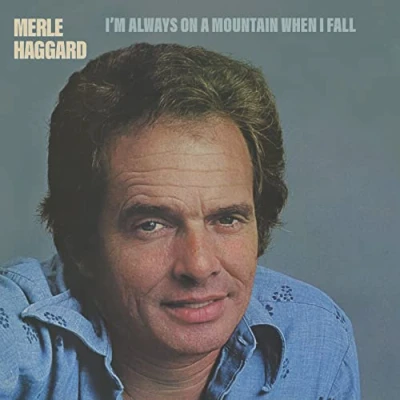 Afbeelding van I&#039;m Always On a Mountain When I Fall