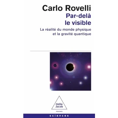 Afbeelding van PAR DELA LE VISIBLE LA REALITE DU MONDE PHYSIQUE ET GRAVI