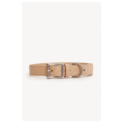 Afbeelding van Dogguo Zebra Collar Hondenhalsband Beige