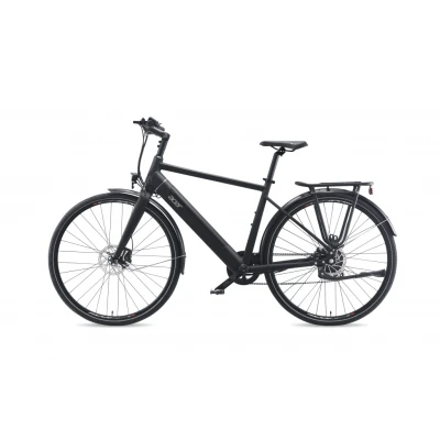 Afbeelding van Acer Urban eBike