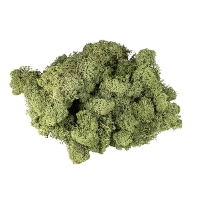Afbeelding van Ideen mit Herz IJslands mos, bosgroen, decoratief natuurproduct, 200 g