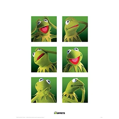 Afbeelding van Pyramid Poster The Muppets Kermit Boxes 40 X 30 Cm Multicolor