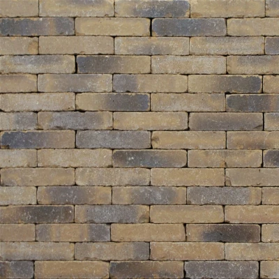 Afbeelding van Clayville Arnhem WF 200x48x60 mm Bezand Getrommeld