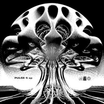 Afbeelding van V/A The Pulse Ep Vol. 5 (Single)