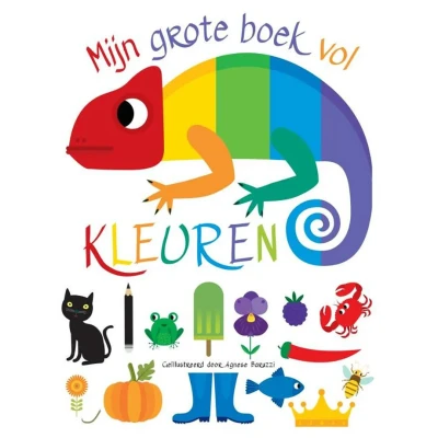 Afbeelding van Uitgeverij rebo kartonboek mijn grote boek vol kleuren
