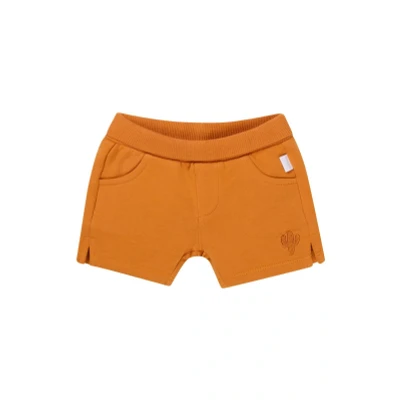 Afbeelding van Noppies Broek Osmar Baby Maat 80