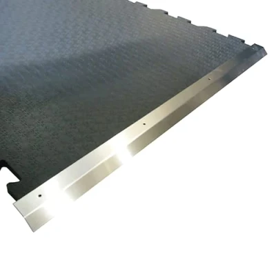 Afbeelding van RVS Aanloop profiel voor Puzzel Stalmat 100 x cm