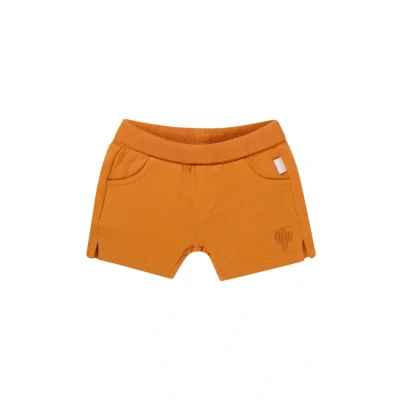 Afbeelding van Noppies Broek Osmar Baby Maat 50