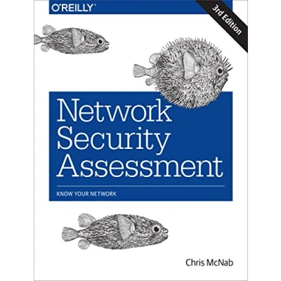Afbeelding van Network Security Assessment