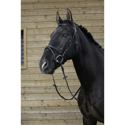 Afbeelding van Riding World Hoofdstel met Gecombineerde Neusriem Zwart Cob Agradi.be