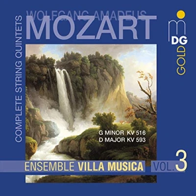 Afbeelding van Ensemble Villa Musica Complete String Quintets Vol 3 (CD)