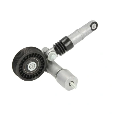 Afbeelding van BTA E3W0018BTA Riemspanner VOLKSWAGEN: Golf 4, Passat B5 GP Estate, AUDI: A6 C5 Saloon, Avant, A4 B6 Avant
