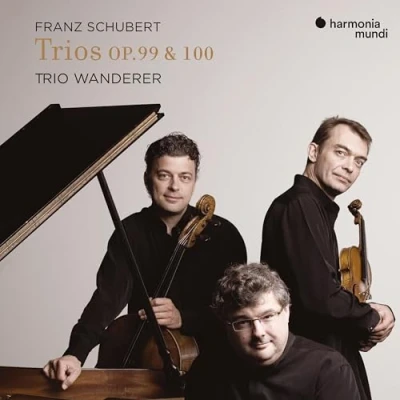 Afbeelding van Trio Wanderer Schubert: Piano Trios Nos. 1 &amp; 2, Notturno Sonatensatz (2 CD)