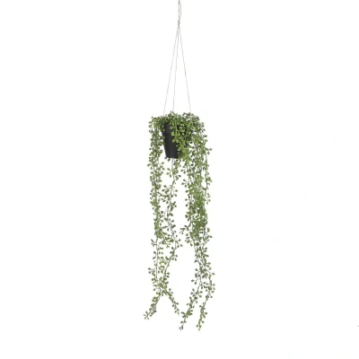 Afbeelding van Senecio Kunst Hangplant in Pot H68 x Ø9 cm Groen