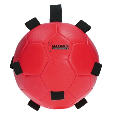 Image de Maximus Balle Fun Play Rouge