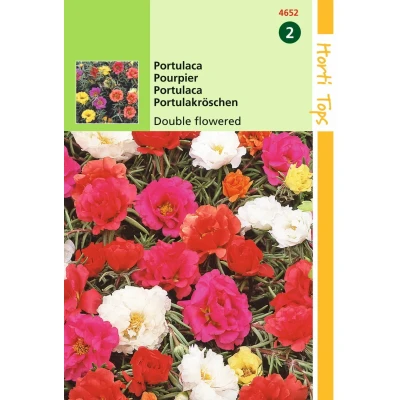 Afbeelding van Portulaca Grd.Fl. Dubbelbloemig Gemengd Hortitops