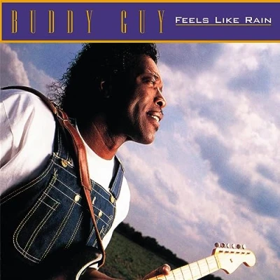 Afbeelding van Buddy Guy Feels Like Rain (LP)