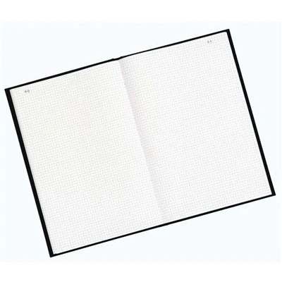Image de Registre Couronne Exacompta standard format vertical 35x22,5cm 5x5cm 300p folioté