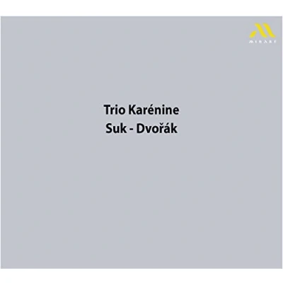 Afbeelding van Trio Karenine Suk Dvorák (CD)