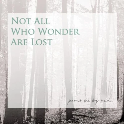 Afbeelding van Paint The Sky Red Not All Who Wonder Are Lost (2 CD)