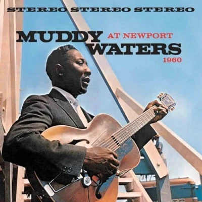 Afbeelding van Muddy Waters At Newport 1960 (LP)