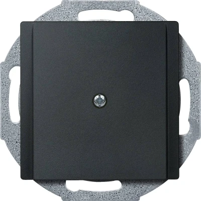 Afbeelding van Merten 295614 Afdekking System M Antraciet
